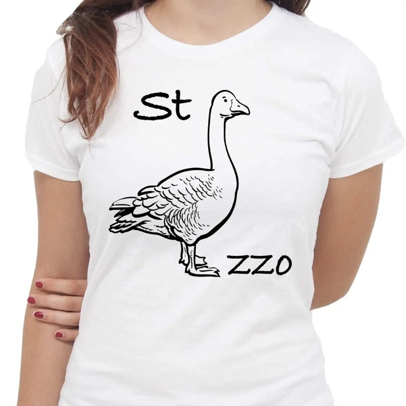 Summer Clothing Images - IMage Goose Rebus T-shirt grappig T-shirt